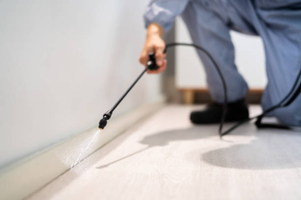 Certified termite inspector examining foundation in Grambling