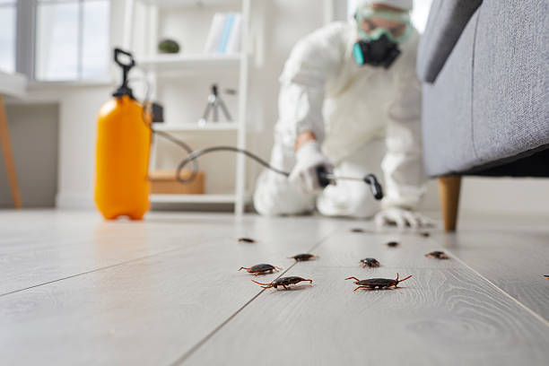 Commercial Rodent Management in Grambling